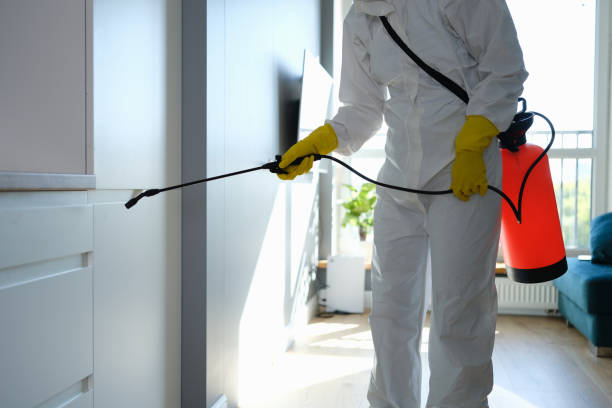 Pest Control for Hotels